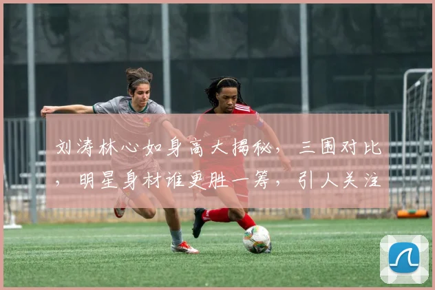 刘涛林心如身高大揭秘，三围对比，明星身材谁更胜一筹，引人关注
