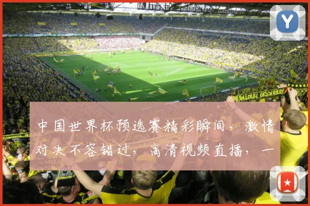 中国世界杯预选赛精彩瞬间，激情对决不容错过，高清视频直播，一睹为快