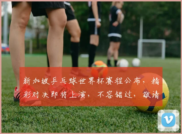 新加坡乒乓球世界杯赛程公布，精彩对决即将上演，不容错过，敬请关注