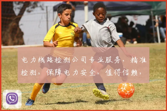 电力线路检测公司专业服务，精准检测，保障电力安全，值得信赖，助力行业升级