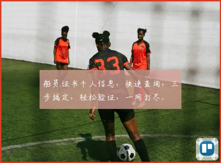 船员证书个人信息，快速查询，三步搞定，轻松验证，一网打尽。