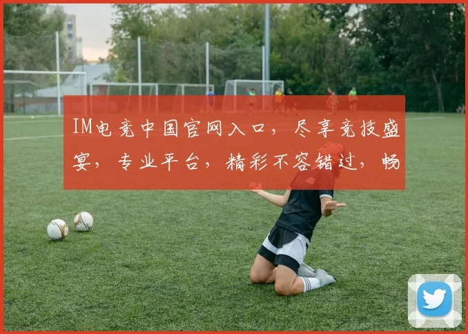 IM电竞中国官网入口，尽享竞技盛宴，专业平台，精彩不容错过，畅游电竞世界，三重惊喜，等你来挑战